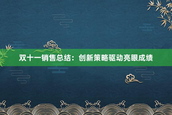 双十一销售总结：创新策略驱动亮眼成绩